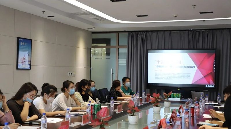 安防弱电系统设计流程：从需求分析到验收交付的全方位解析